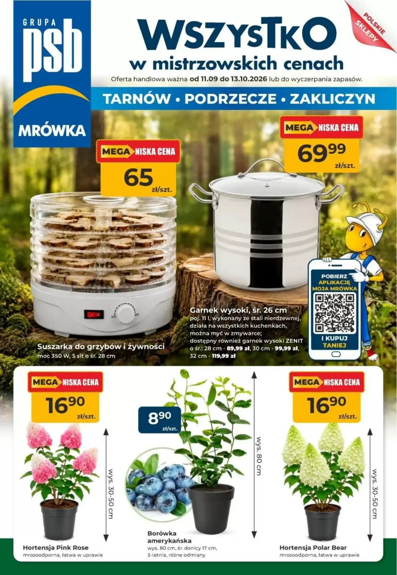 Gazetka promocyjna Mrówka ważna od 11.09.2026 - Strona 1.