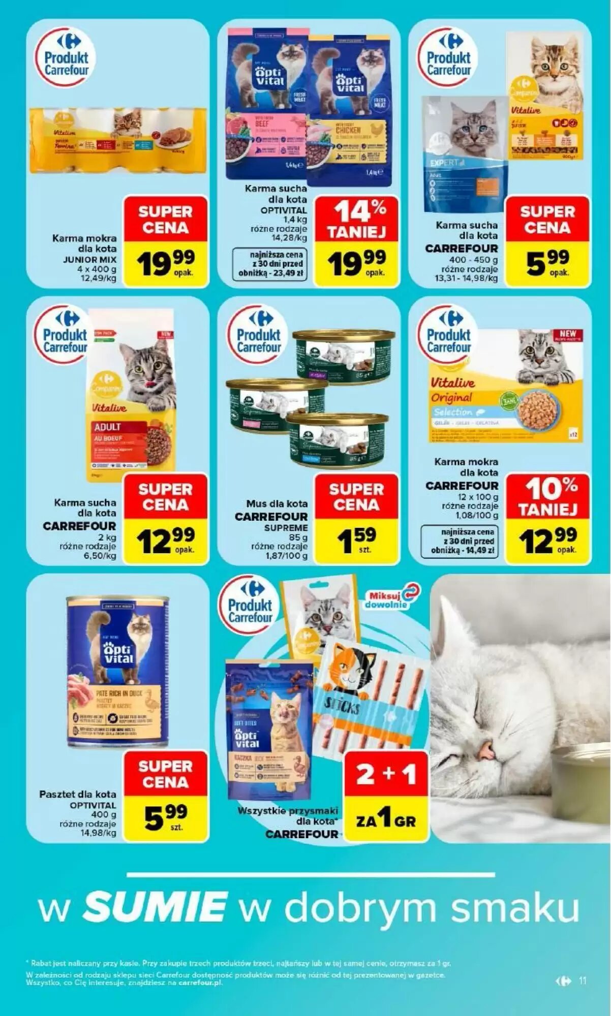 Gazetka promocyjna Carrefour  ważna od 14.09.2026 - Strona 13.