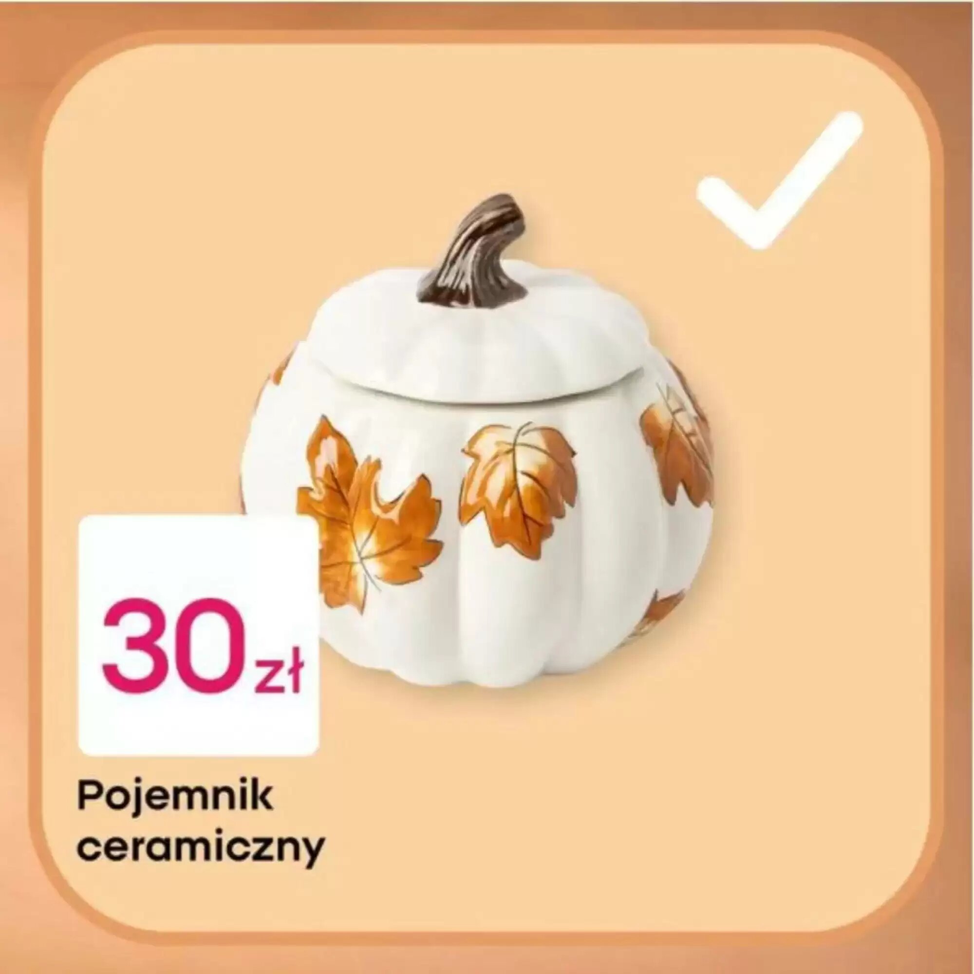Gazetka promocyjna Pepco  ważna od 15.09.2026 - Strona 3.