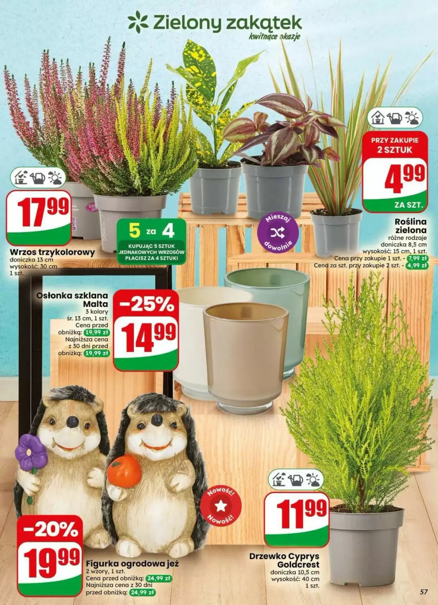 Gazetka promocyjna Dino  ważna od 16.09.2026 - Strona 57.