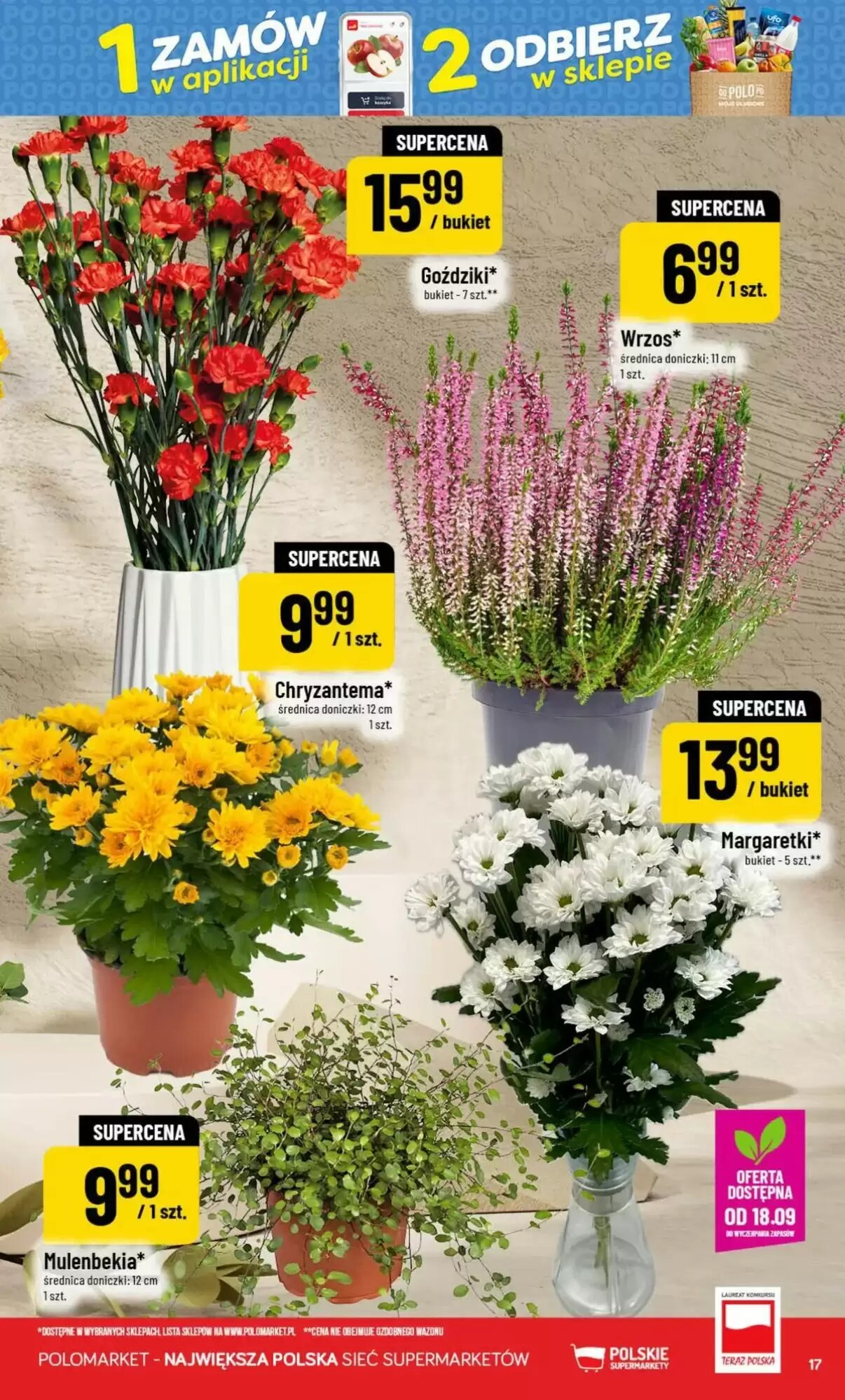 Gazetka promocyjna Polomarket  ważna od 16.09.2026 - Strona 17.