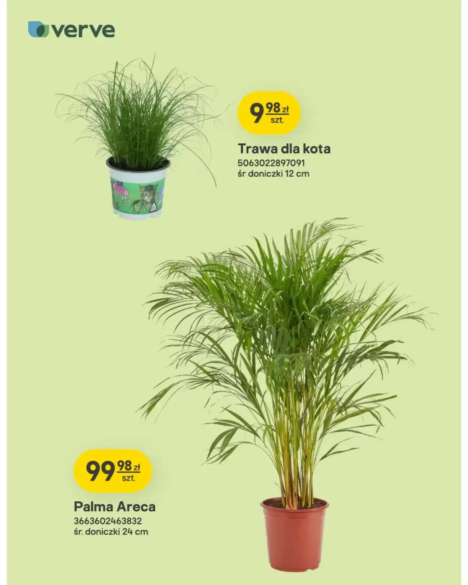 Gazetka promocyjna Castorama  ważna od 16.09.2026 - Strona 2.