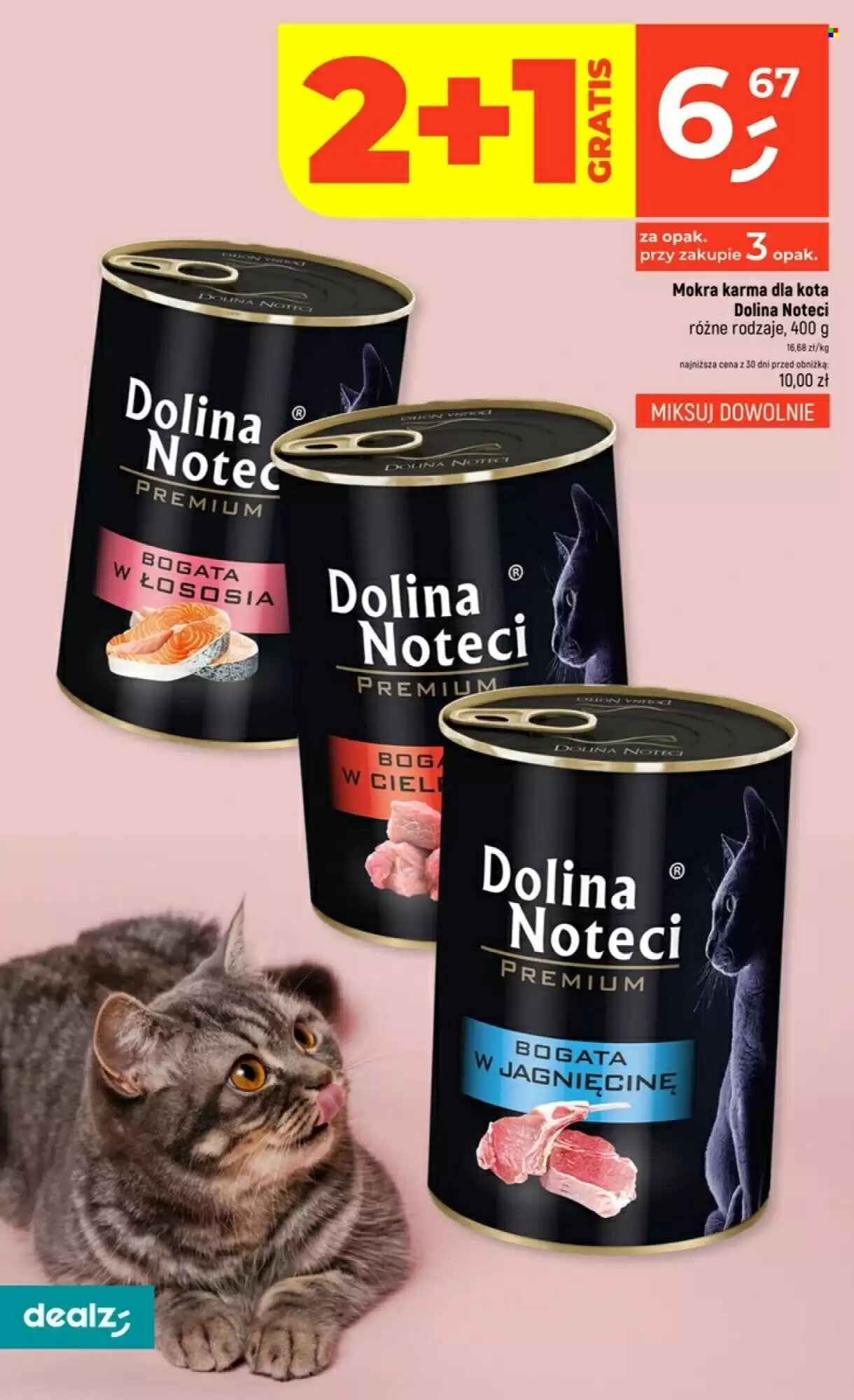 Gazetka promocyjna Dealz  ważna od 17.09.2026 - Strona 42.