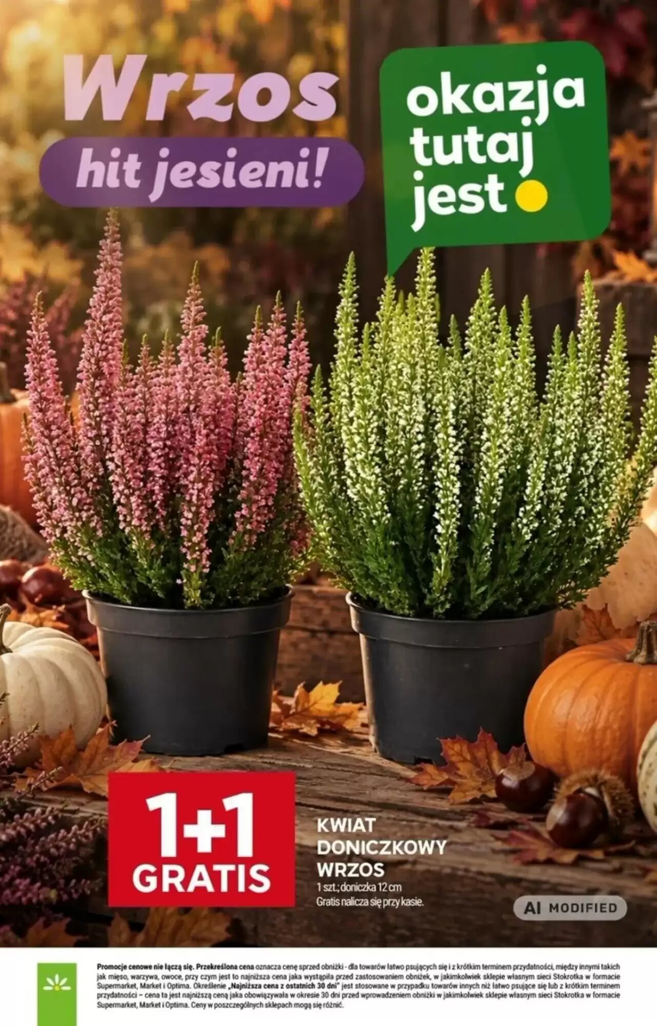 Gazetka promocyjna Stokrotka Market  ważna od 17.09.2026 - Strona 13.