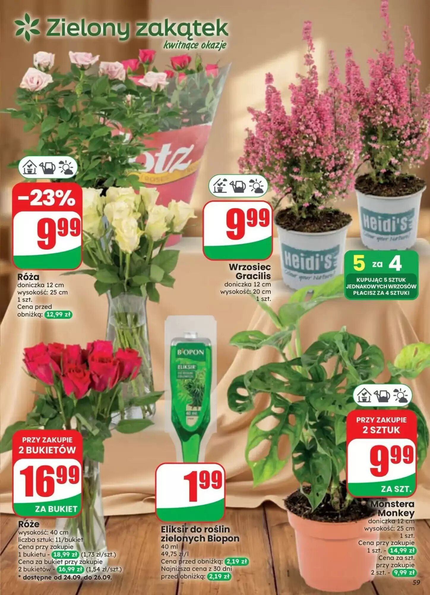 Gazetka promocyjna Dino  ważna od 23.09.2026 - Strona 59.