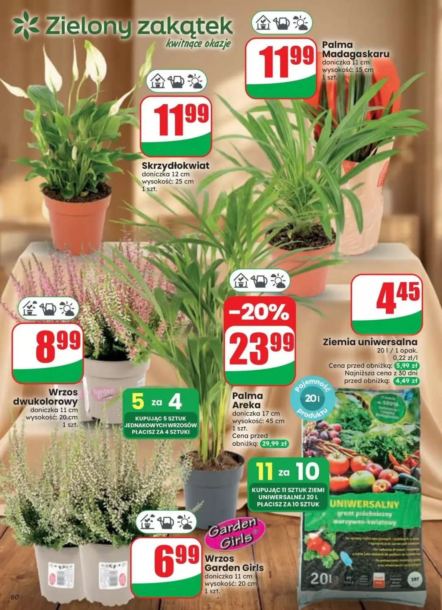 Gazetka promocyjna Dino  ważna od 23.09.2026 - Strona 60.