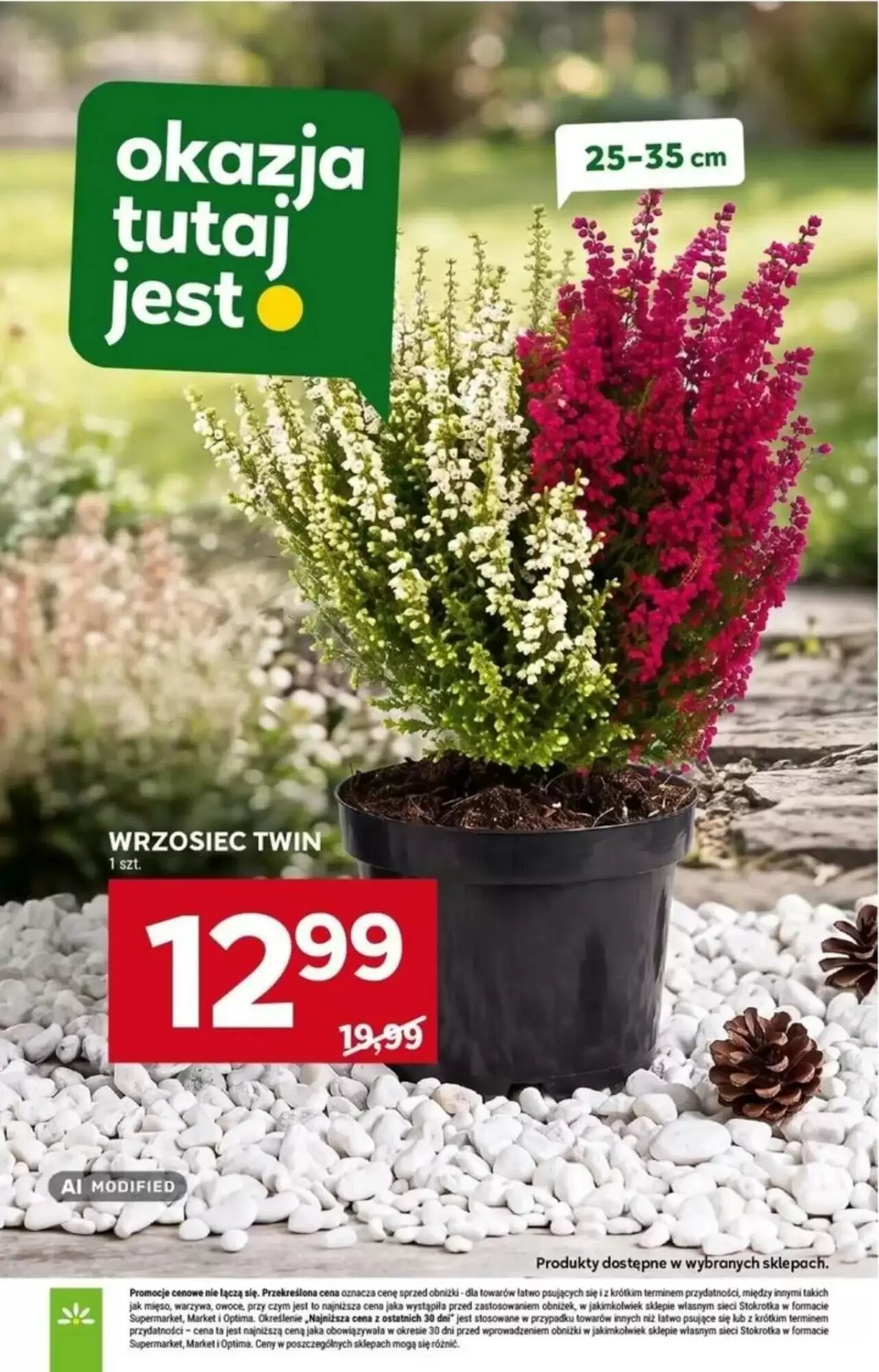 Gazetka promocyjna Stokrotka Market  ważna od 24.09.2026 - Strona 29.