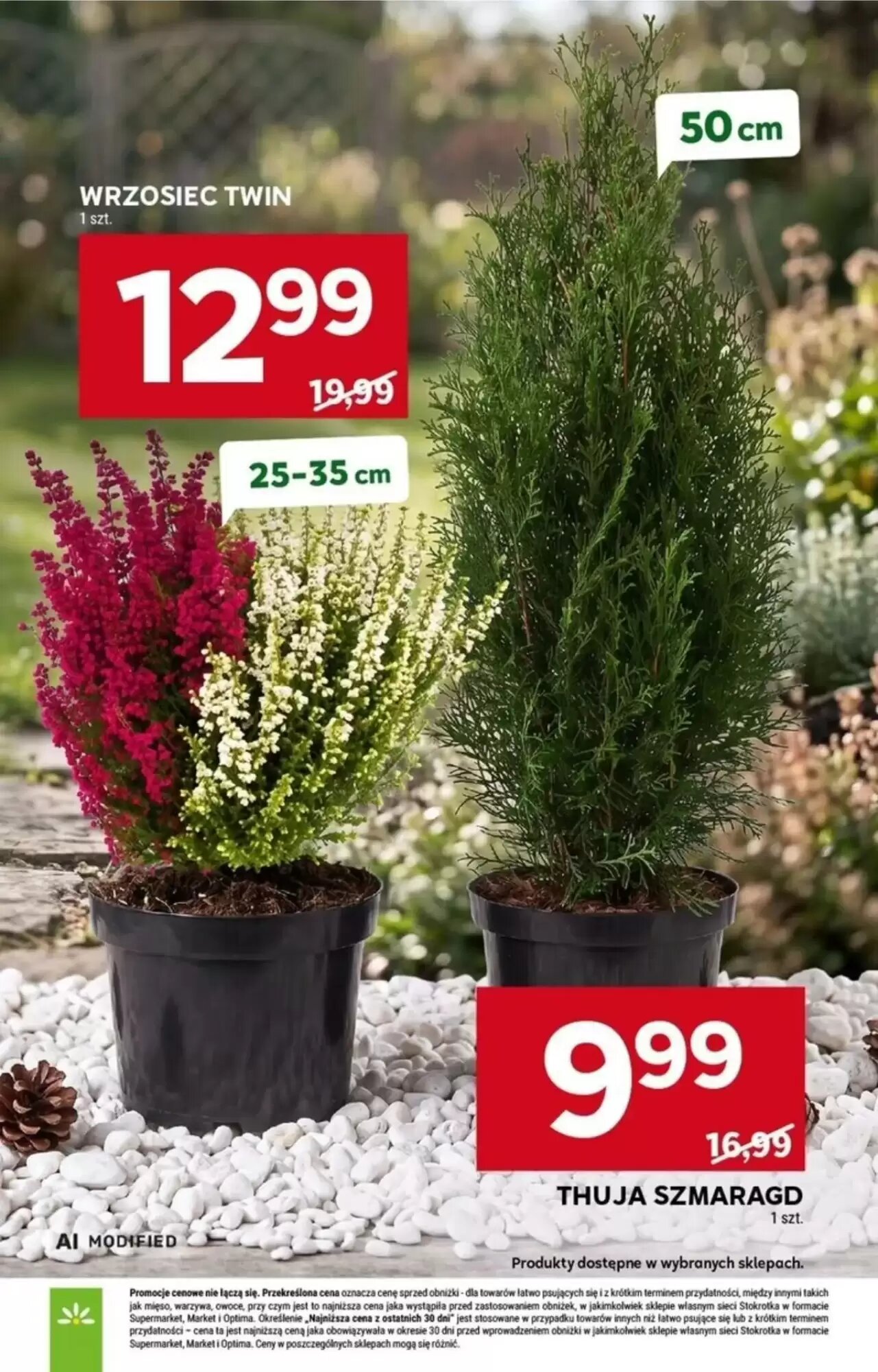 Gazetka promocyjna Stokrotka  ważna od 24.09.2026 - Strona 41.