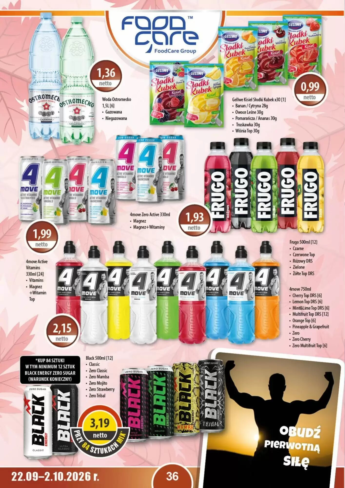 Gazetka promocyjna DUO-TES  ważna od 24.09.2026 - Strona 36.