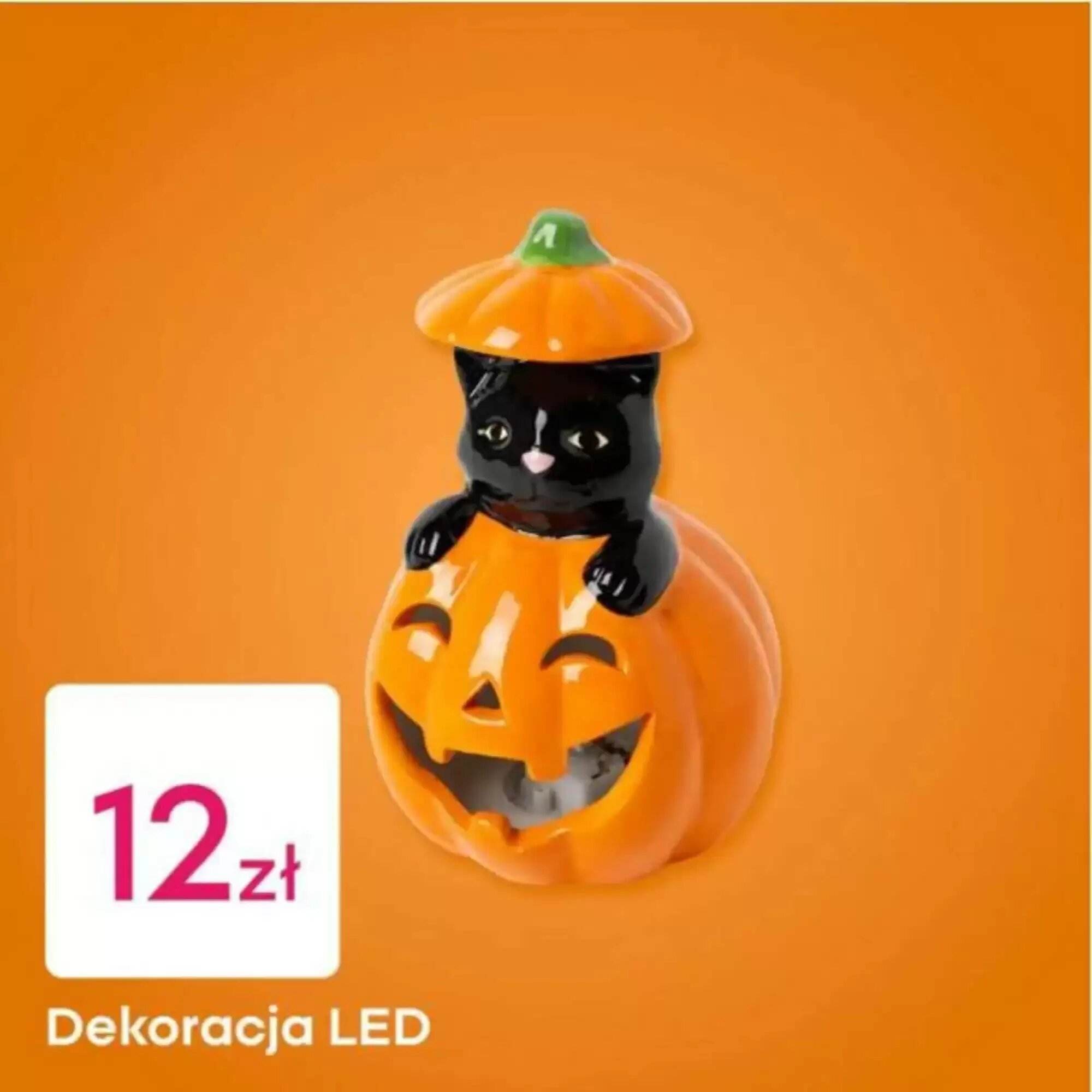 Gazetka promocyjna Pepco  ważna od 25.09.2026 - Strona 2.
