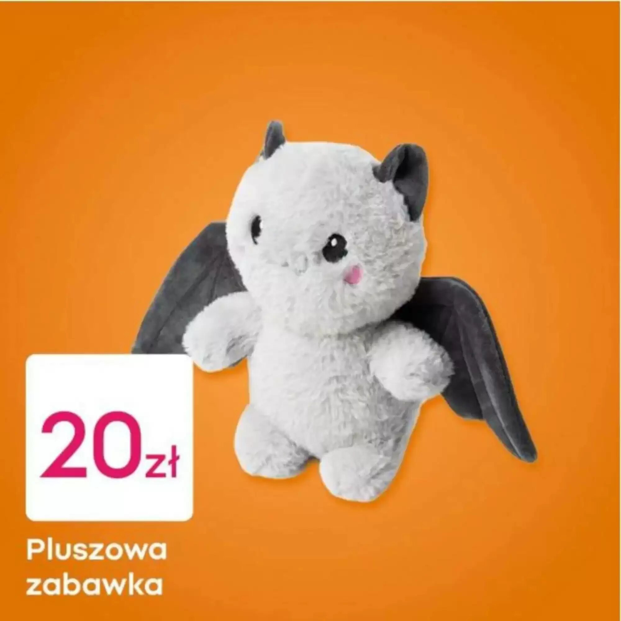 Gazetka promocyjna Pepco  ważna od 25.09.2026 - Strona 4.