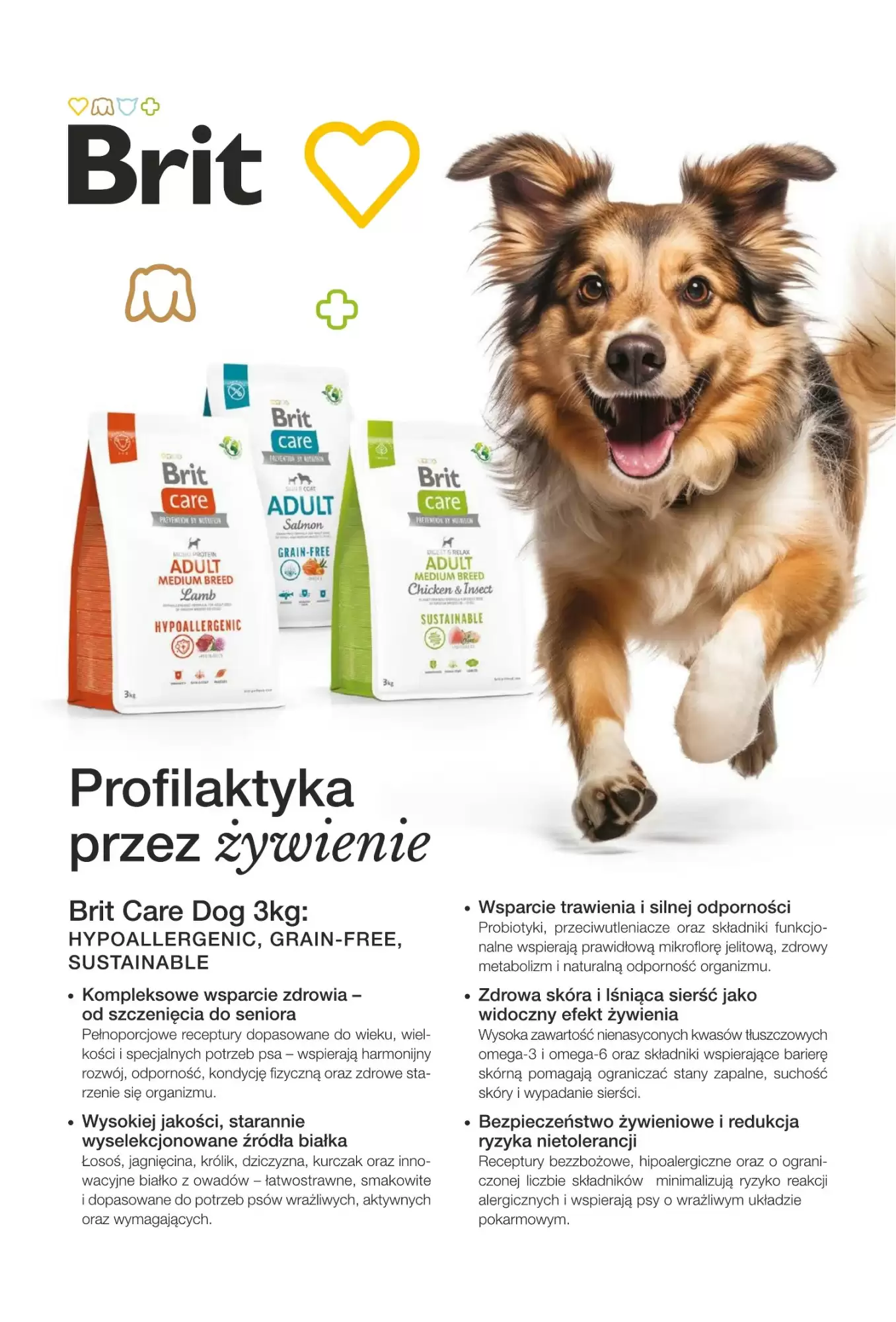 Gazetka promocyjna AquaelZOO  ważna od 01.10.2026 - Strona 10.