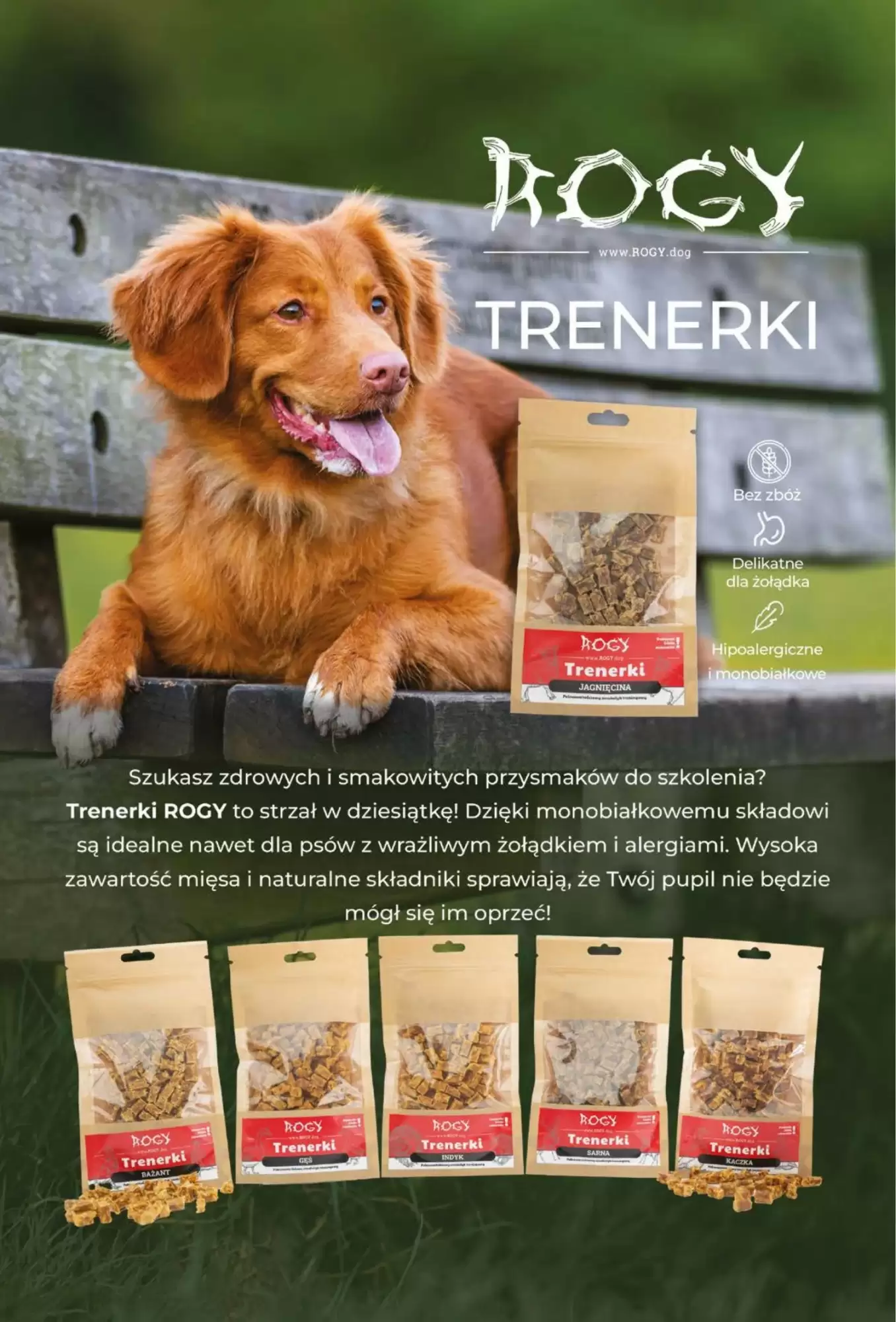 Gazetka promocyjna AquaelZOO  ważna od 01.10.2026 - Strona 11.