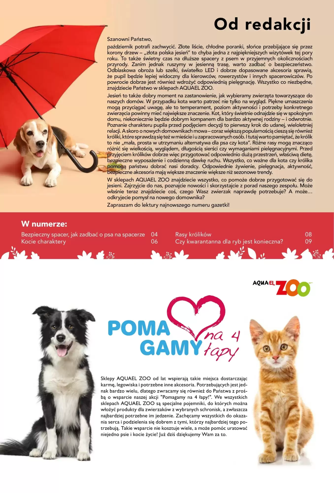 Gazetka promocyjna AquaelZOO  ważna od 01.10.2026 - Strona 3.