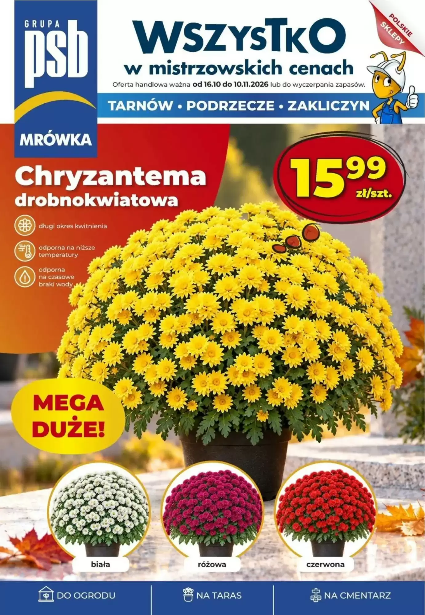 Gazetka promocyjna Mrówka ważna od 15.10.2026 - Strona 1.