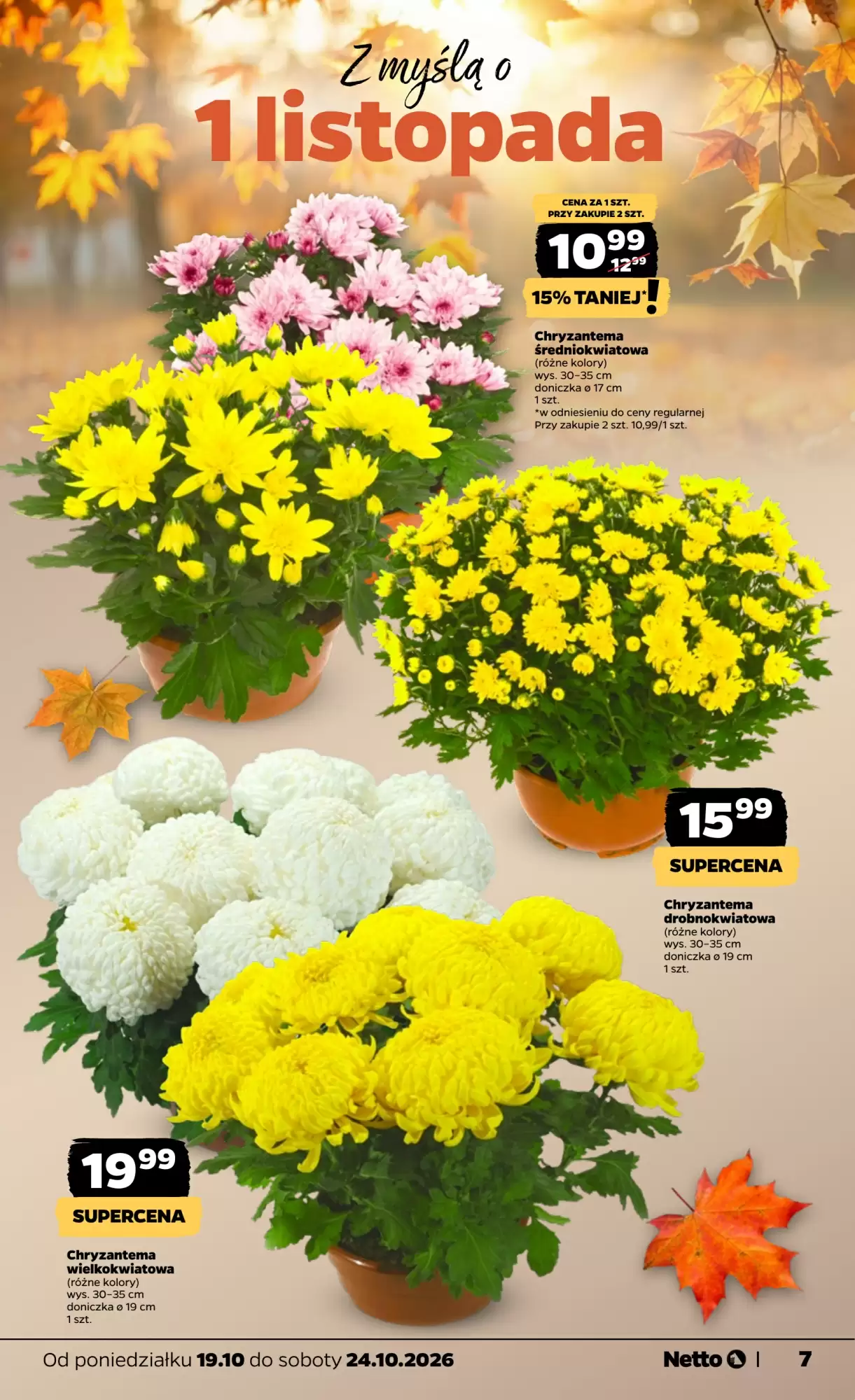 Gazetka promocyjna Netto  ważna od 19.10.2026 - Strona 7.