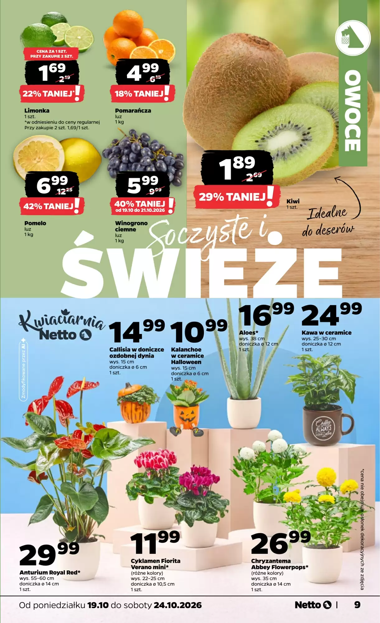 Gazetka promocyjna Netto  ważna od 19.10.2026 - Strona 9.