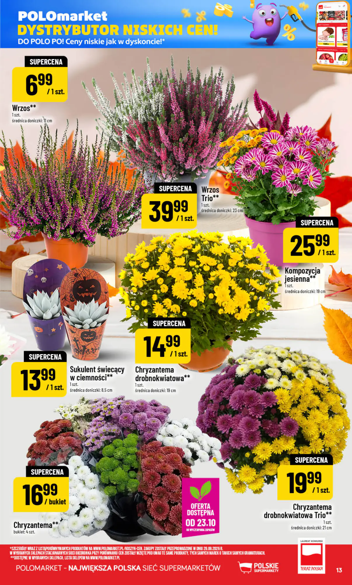 Gazetka promocyjna Polomarket  ważna od 21.10.2026 - Strona 13.