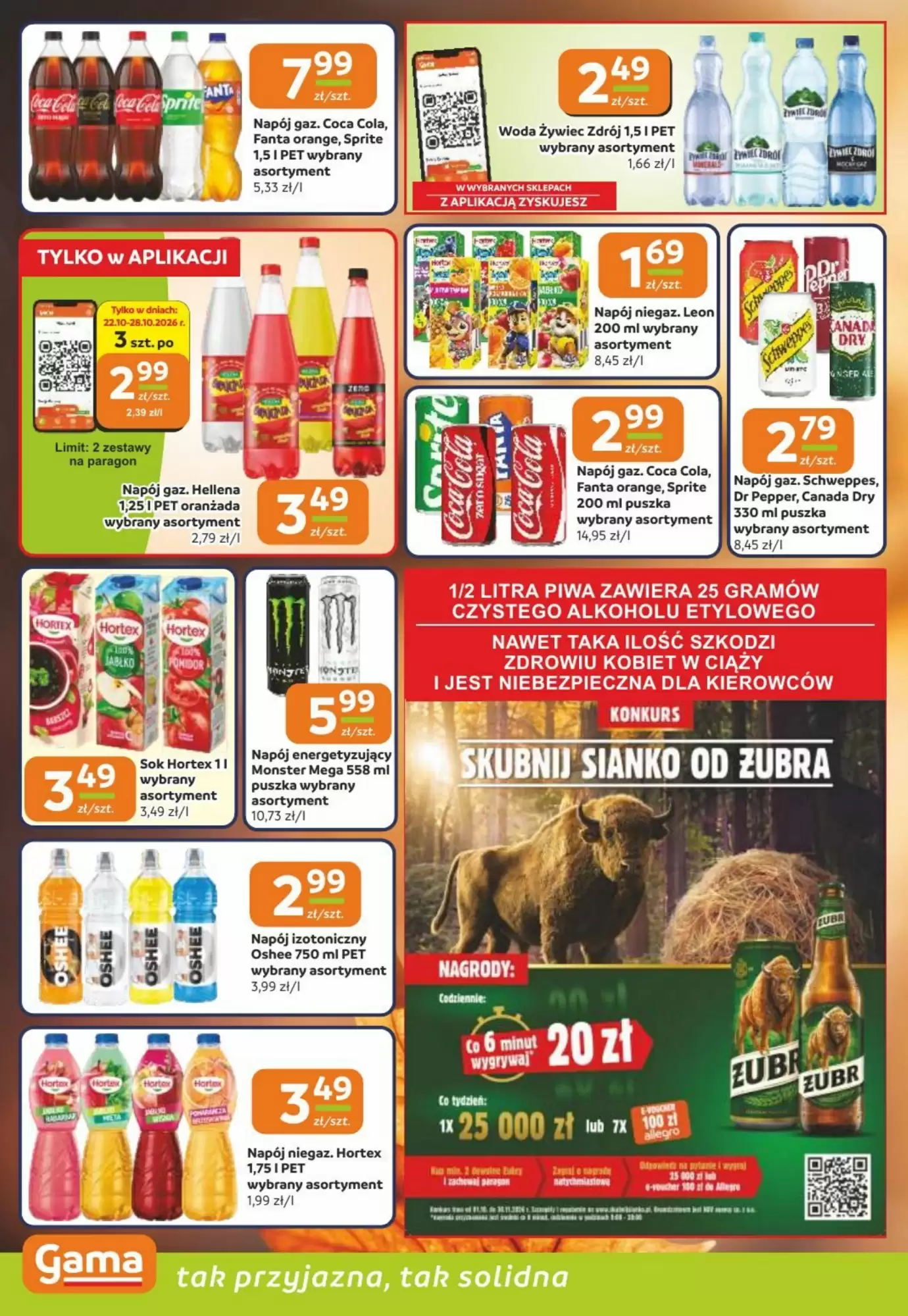 Gazetka promocyjna Gama  ważna od 22.10.2026 - Strona 10.