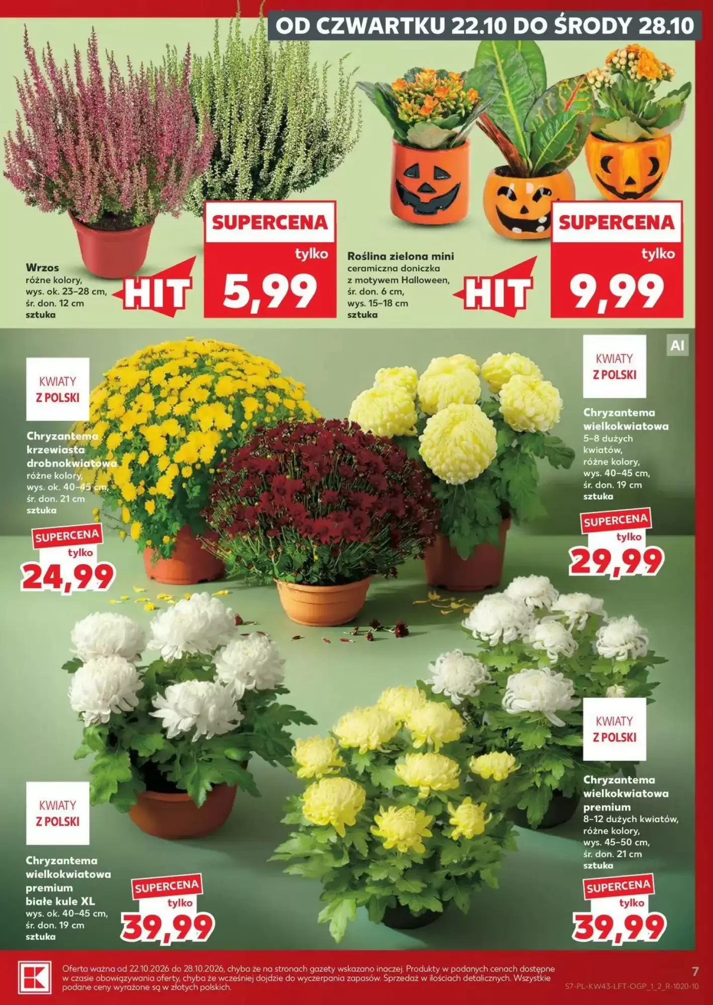Gazetka promocyjna Kaufland  ważna od 22.10.2026 - Strona 7.