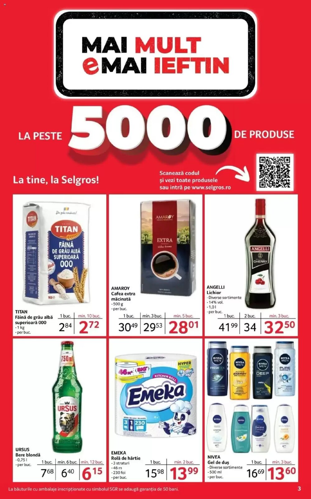 Catalogul cu oferte Selgros valabil de la 12.12.2025 - Pagina 3.