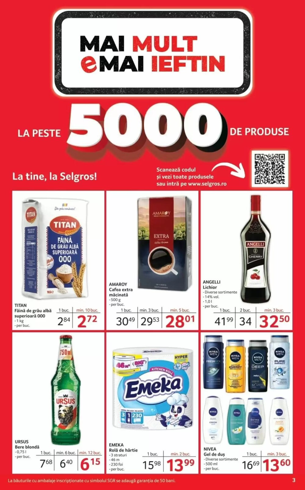 Catalogul cu oferte Selgros valabil de la 12.12.2025 - Pagina 3.