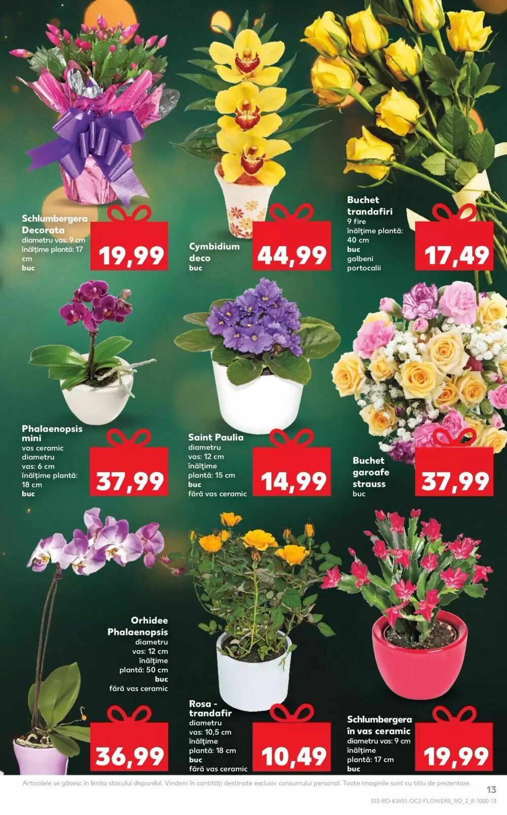 Catalogul cu oferte Kaufland valabil de la 17.12.2025 - Pagina 13.
