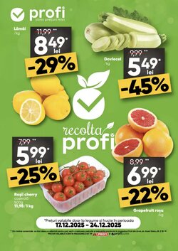 Catalogul cu oferte PROFI valabil de la 17.12.2025