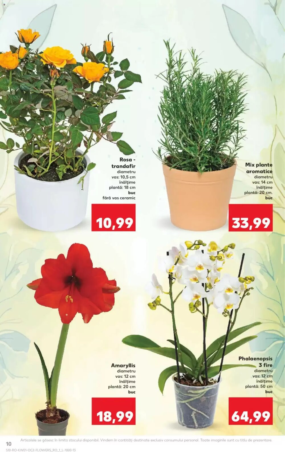 Catalogul cu oferte Kaufland valabil de la 31.12.2025 - Pagina 10.