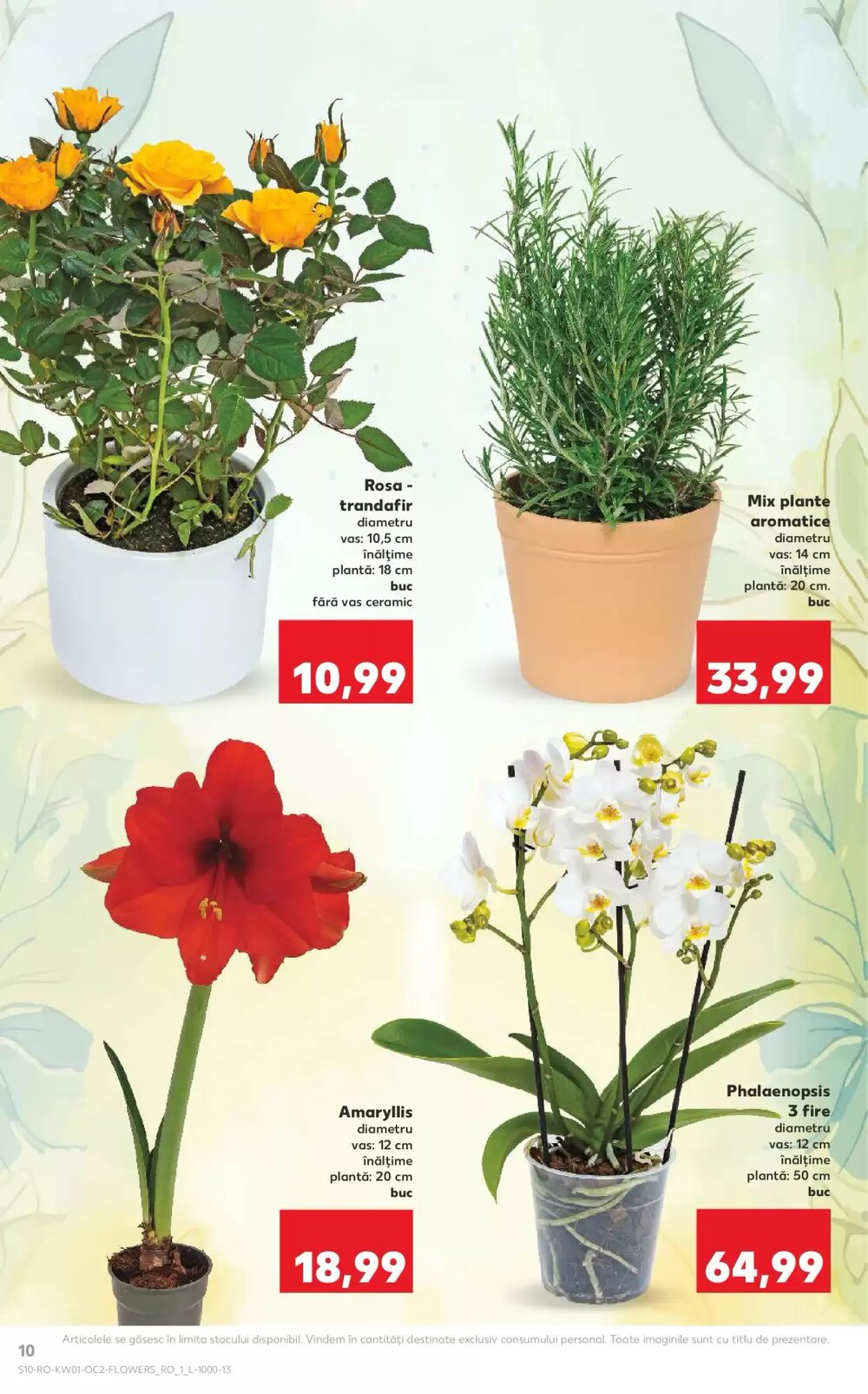 Catalogul cu oferte Kaufland valabil de la 31.12.2025 - Pagina 11.