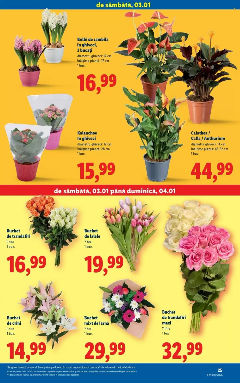 Catalogul cu oferte Lidl valabil de la 02.01.2026 - Pagina 25.