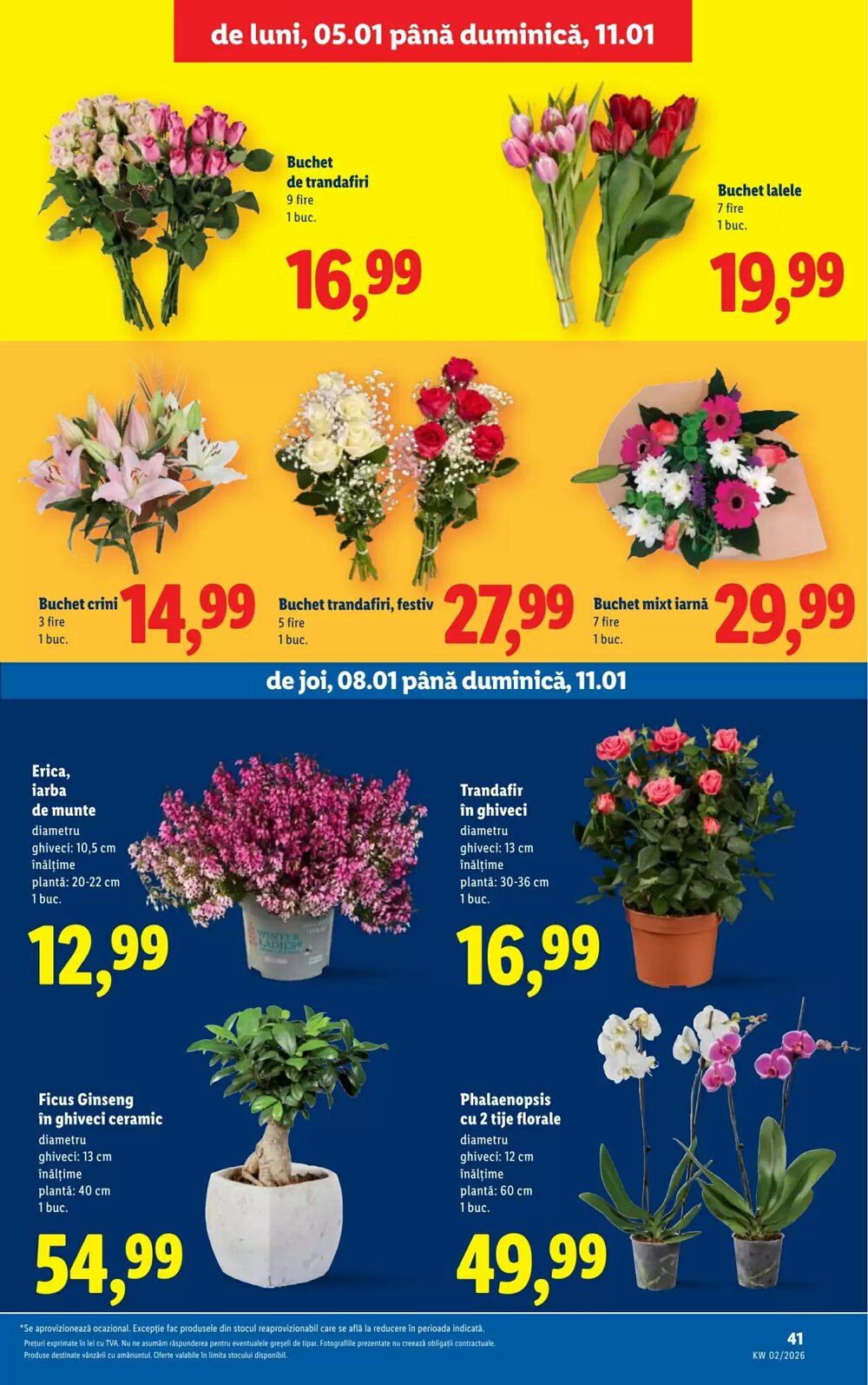 Catalogul cu oferte Lidl valabil de la 05.01.2026 - Pagina 41.
