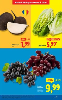 Catalogul cu oferte Lidl valabil de la 05.01.2026 - Pagina 5.