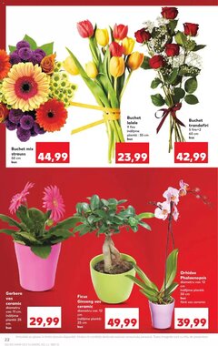 Catalogul cu oferte Kaufland valabil de la 06.01.2026 - Pagina 22.