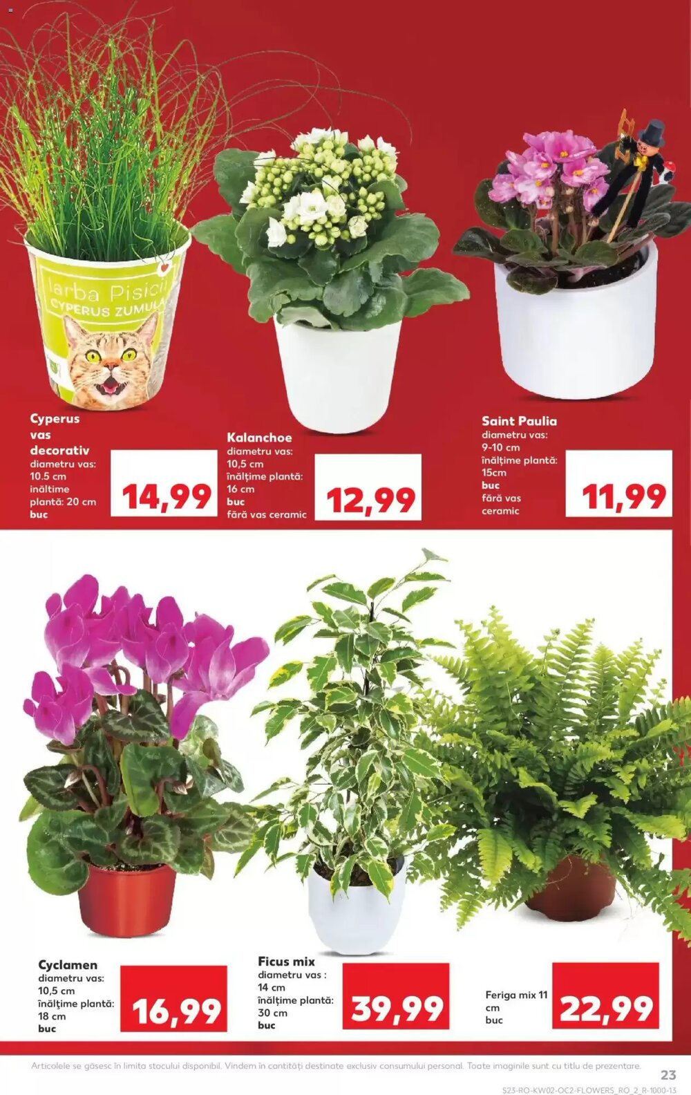 Catalogul cu oferte Kaufland valabil de la 06.01.2026 - Pagina 23.