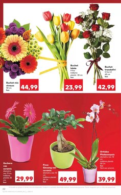 Catalogul cu oferte Kaufland valabil de la 07.01.2026 - Pagina 22.
