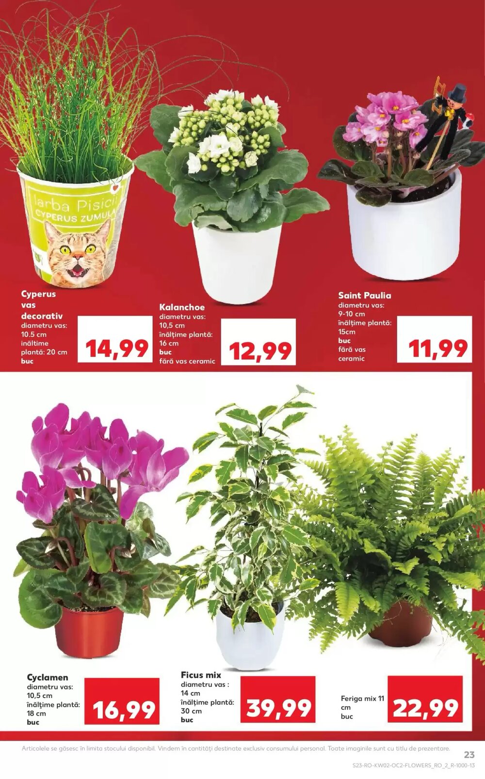 Catalogul cu oferte Kaufland valabil de la 07.01.2026 - Pagina 23.