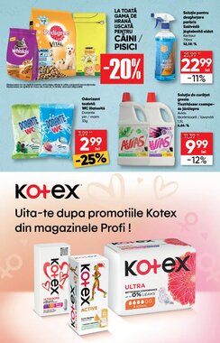 Catalogul cu oferte PROFI valabil de la 07.01.2026 - Pagina 13.
