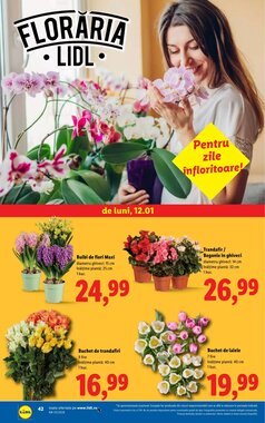 Catalogul cu oferte Lidl valabil de la 12.01.2026 - Pagina 42.