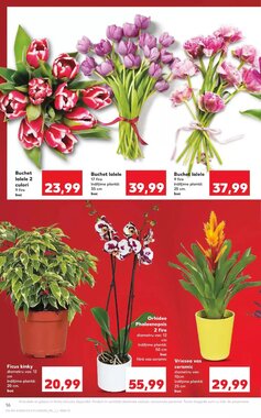 Catalogul cu oferte Kaufland valabil de la 14.01.2026 - Pagina 16.