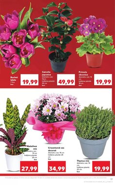 Catalogul cu oferte Kaufland valabil de la 14.01.2026 - Pagina 17.