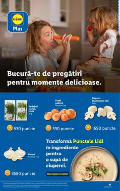 Catalogul cu oferte Lidl valabil de la 19.01.2026 - Pagina 41.