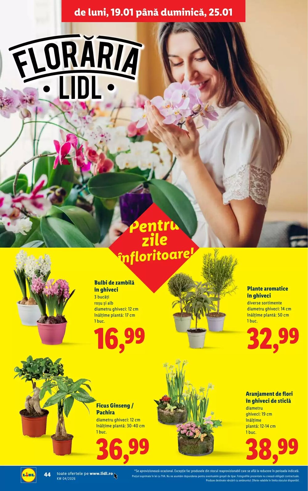 Catalogul cu oferte Lidl valabil de la 19.01.2026 - Pagina 44.