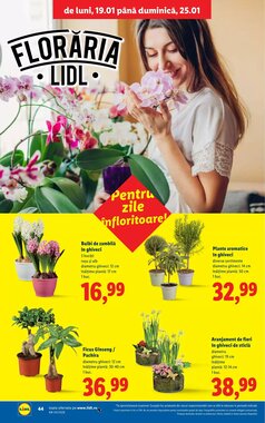 Catalogul cu oferte Lidl valabil de la 19.01.2026 - Pagina 44.