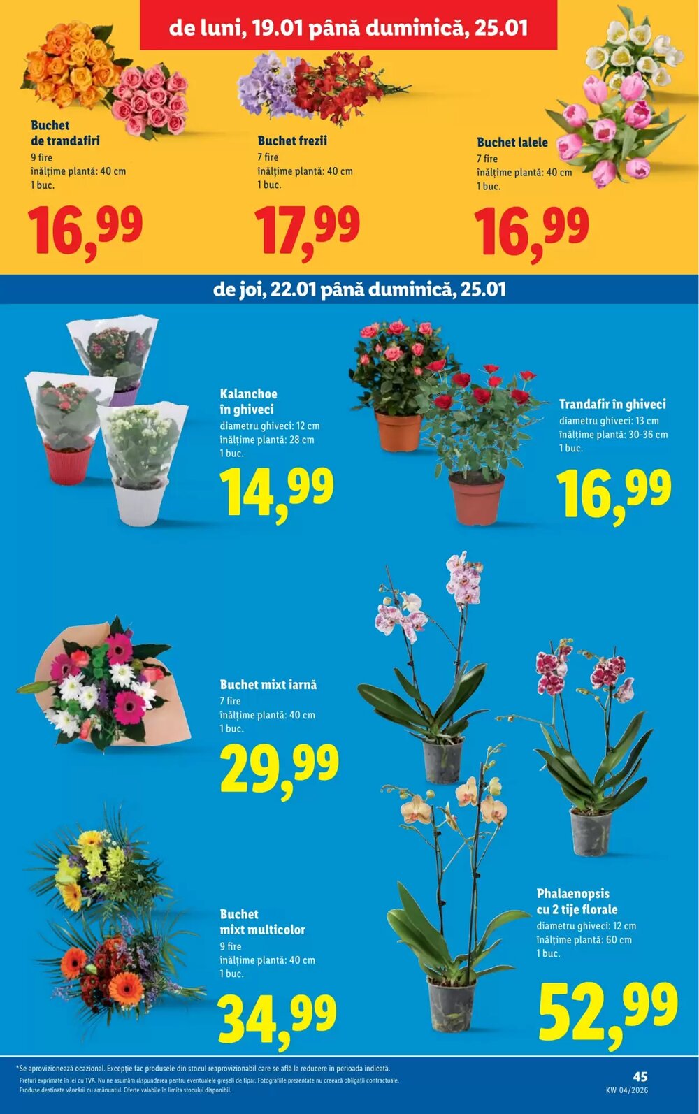Catalogul cu oferte Lidl valabil de la 19.01.2026 - Pagina 45.
