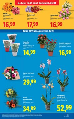 Catalogul cu oferte Lidl valabil de la 19.01.2026 - Pagina 45.