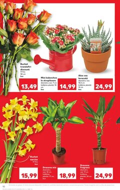 Catalogul cu oferte Kaufland valabil de la 20.01.2026 - Pagina 10.