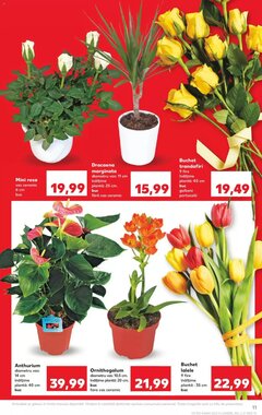 Catalogul cu oferte Kaufland valabil de la 20.01.2026 - Pagina 11.