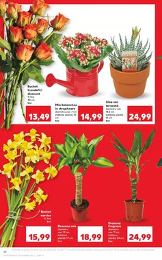 Catalogul cu oferte Kaufland valabil de la 21.01.2026 - Pagina 10.