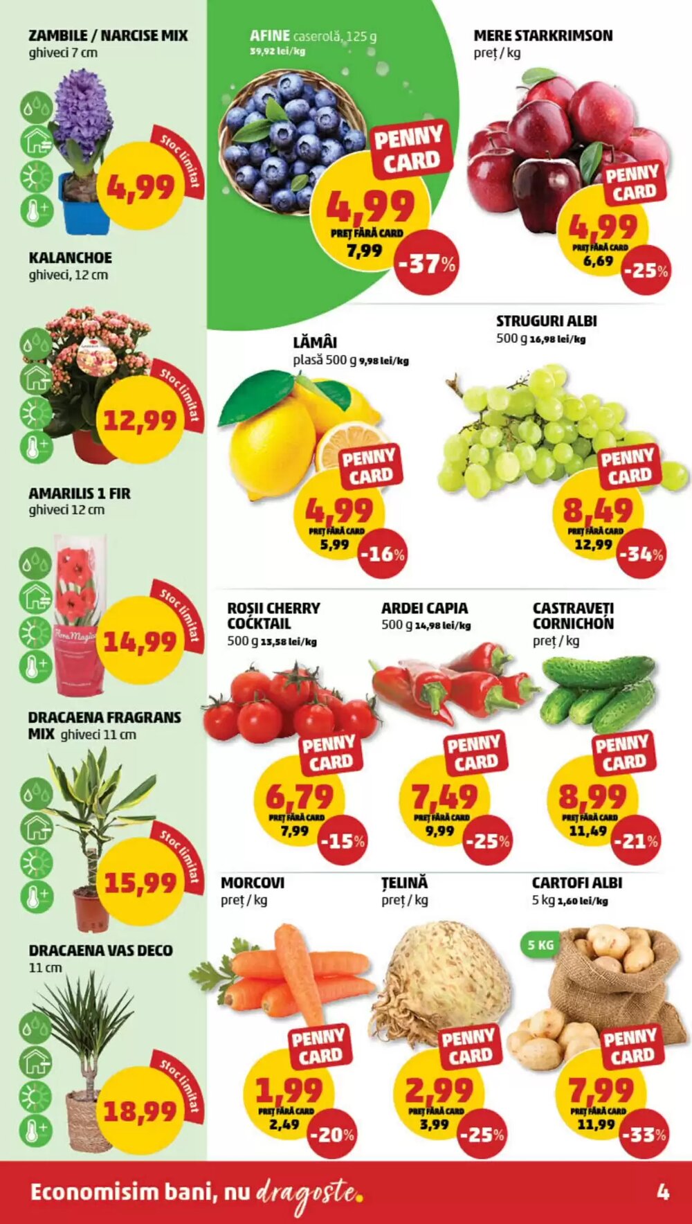 Catalogul cu oferte Penny valabil de la 21.01.2026 - Pagina 4.